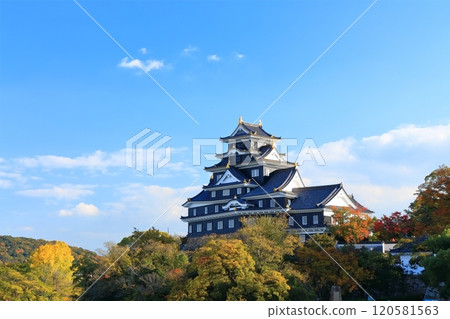 [Okayama Prefecture] Okayama Castle in yellow leaves (after major renovation in the Reiwa era) 120581563