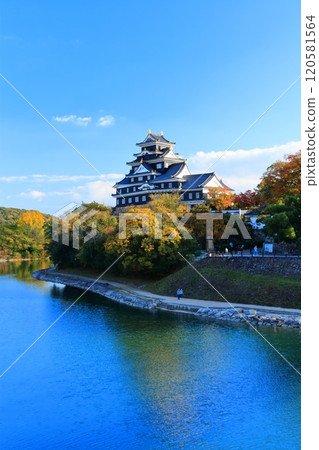 [Okayama Prefecture] Okayama Castle and Asahikawa River in yellow leaves (after major renovation in the Reiwa era) 120581564