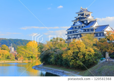 [Okayama Prefecture] Okayama Castle and Asahikawa River in yellow leaves (after major renovation in the Reiwa era) 120581568