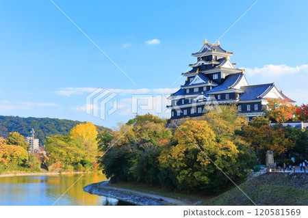 【岡山縣】岡山城和黃葉旭川（令和大整修後） 120581569