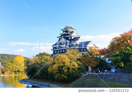 [Okayama Prefecture] Okayama Castle and Asahikawa River in yellow leaves (after major renovation in the Reiwa era) 120581572