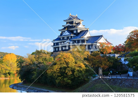 [Okayama Prefecture] Okayama Castle and Asahikawa River in yellow leaves (after major renovation in the Reiwa era) 120581575