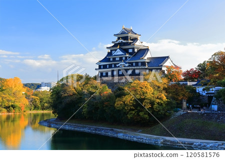 [Okayama Prefecture] Okayama Castle and Asahikawa River in yellow leaves (after major renovation in the Reiwa era) 120581576