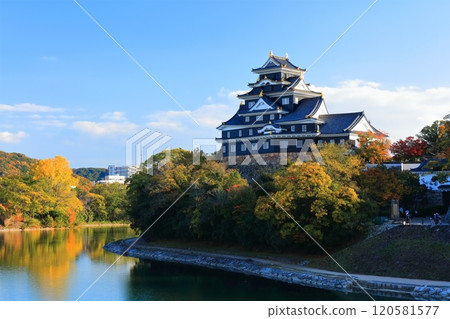 [Okayama Prefecture] Okayama Castle and Asahikawa River in yellow leaves (after major renovation in the Reiwa era) 120581577
