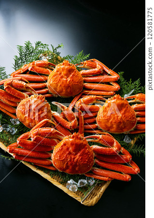 Crab luxury black background Crab luxury black background 120581775