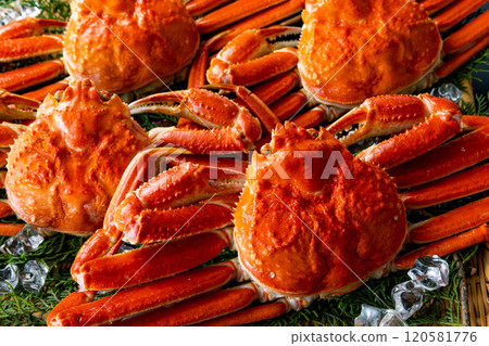 Crab luxury black background 120581776