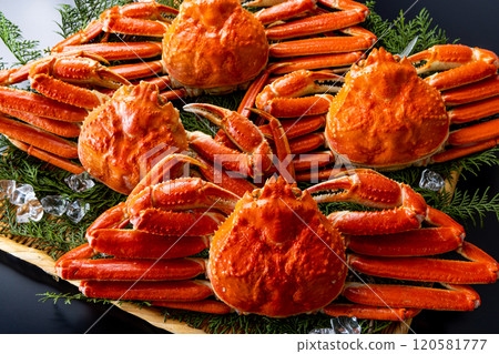Crab luxury black background Crab luxury black background 120581777