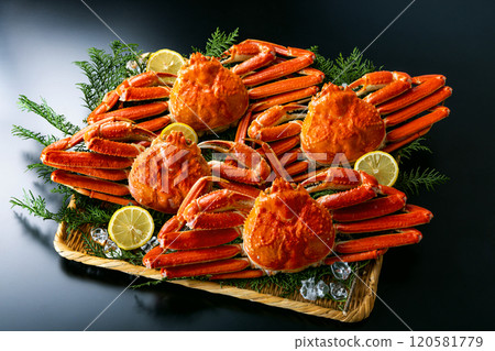 螃蟹豪華黑色背景 120581779