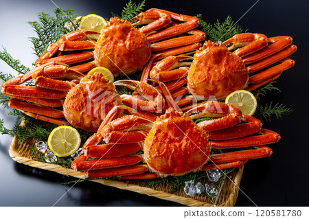 螃蟹豪華黑色背景 螃蟹豪華黑色背景 120581780