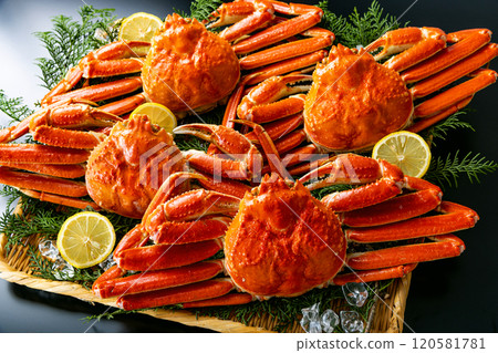 螃蟹豪華黑色背景 120581781