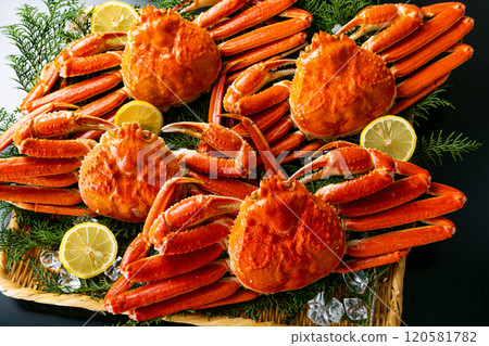 螃蟹豪華黑色背景 120581782