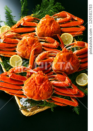 螃蟹豪華黑色背景 120581783