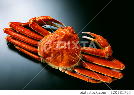 雪蟹黑色背景 120581793