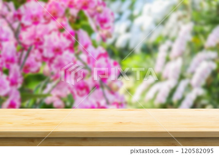 Empty wood table top with blur orchid garden background for product display Empty wood table top with blur orchid garden background for product display 120582095