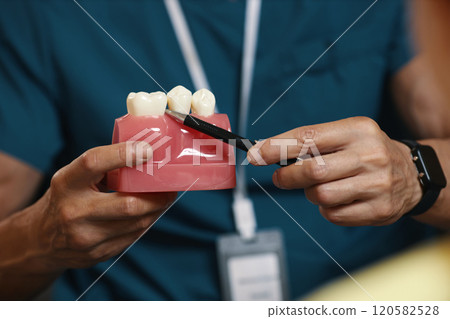 Demonstrating Dental Tool on Tooth Model for Education Purposes Demonstrating Dental Tool on Tooth Model for Education Purposes 120582528