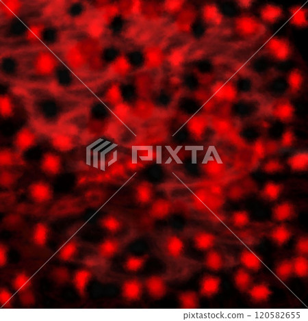 Background texture image of muddy pattern Background texture image of muddy pattern 120582655