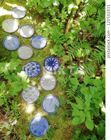 菜色胡同 120582835