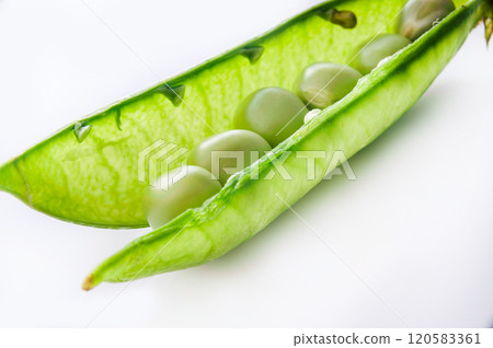Fresh peeled gFresh peeled green pease on a brownreen pease on a brown wooden table with copy space. Fresh pods of green peas horizontal composition isolated on a old rustic wooden surface, soft focus 120583361