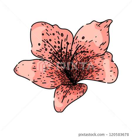 garden azalea sketch hand drawn vector garden azalea sketch hand drawn vector 120583678