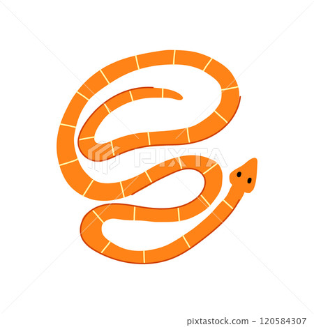 reptile snake oriental cartoon vector illustration reptile snake oriental cartoon vector illustration 120584307