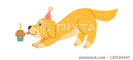 Cute birthday dog tasting cupcake 120584497