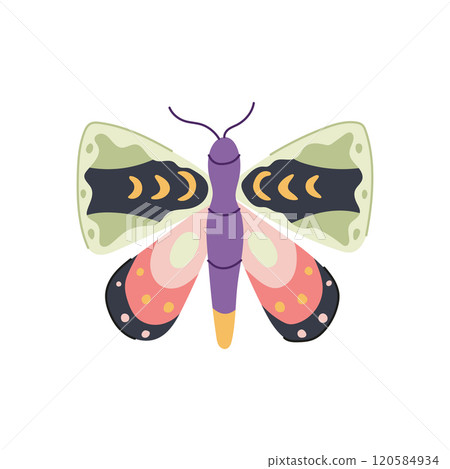 earthy boho moth cartoon vector illustration 120584934