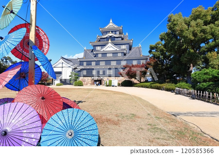[岡山縣]岡山城天守閣與秋葉（令和大整修後） 120585366