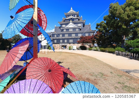 [岡山縣]岡山城天守閣與秋葉（令和大整修後） 120585367