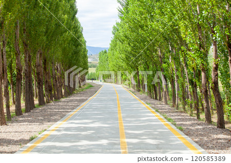 Bicycle and pedestrian path around Lake Lisi, Tbilisi Bicycle and pedestrian path around Lake Lisi, Tbilisi 120585389