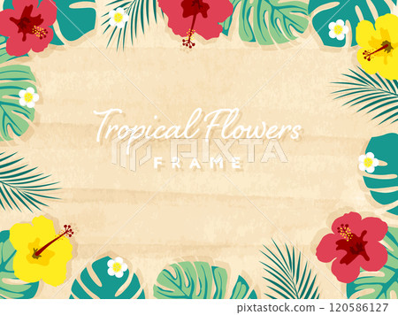 木槿和龜背竹的熱帶框架 120586127