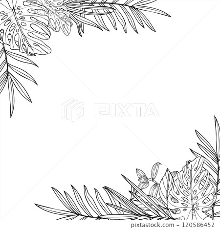 Vector monochrome tropical leaves vector square frame with empty space for text. Areca, Cycas, tradescantia, monstera house plant line art black ink sketch. Floral illustration for invitation. 120586452