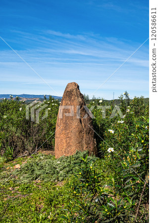 Sandstone Menir dating from 6000-4500 BC in the dry hills near Vale Fuzeiros, Algarve, Portugal. 120586611