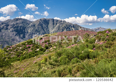 Landscape view of the Peneda Geres National Park in Portugal. Area betweeen Cabril und Ruivaes Landscape view of the Peneda Geres National Park in Portugal. Area betweeen Cabril und Ruivaes 120586642