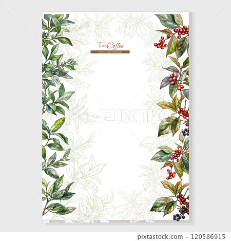 Green tea branch and Coffee tree branch with leaves and berries 120586915