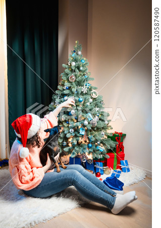 Portrait of woman with her cute miniature pinscher dog sitting near Christmas tree Portrait of woman with her cute miniature pinscher dog sitting near Christmas tree 120587490