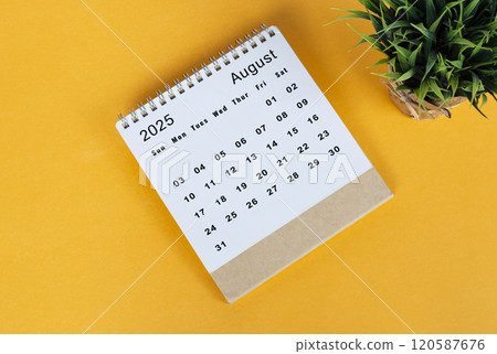 August 2025 desk calendar on yellow background. Directly above. Flat lay 120587676