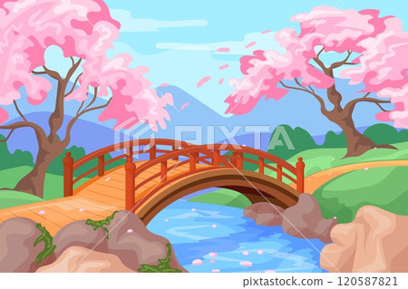Sakura bridge. Japanese spring beautiful park with bloom cherry trees, path over river in asian garden japan forest chinese scene cartoon panorama scenery, neat vector illustration 120587821