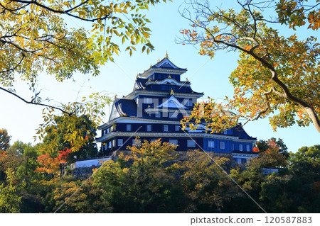 【岡山縣】黃葉的岡山城（令和大整修後） 120587883
