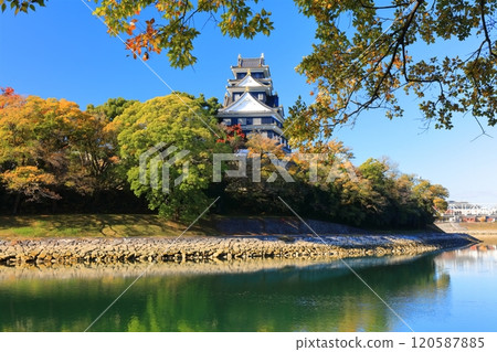 【岡山縣】岡山城和黃葉旭川（令和大整修後） 120587885