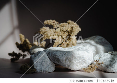 Background for product presentation. Background for product presentation. 120587916
