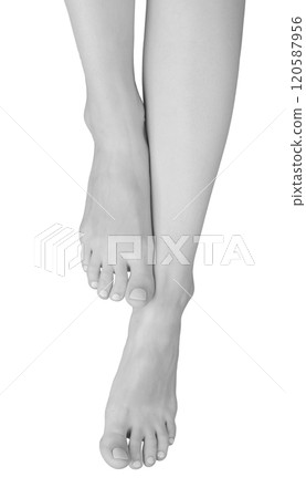 Barefoot foot in grayscale, showcasing neat skin and healthy nail care. Slim, elegant woman with a Barefoot foot in grayscale, showcasing neat skin and healthy nail care. Slim, elegant woman with a 120587956