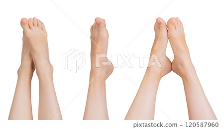 Barefoot female feet in a tidy, stretched position. Slim legs with smooth skin, neat nails, and soft Barefoot female feet in a tidy, stretched position. Slim legs with smooth skin, neat nails, and soft 120587960