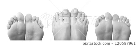 bare female feet, soles and toes peeping from the bottom. Smooth skin, neat nails, and soft pads 120587961