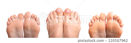 Bare female feet peeking from the bottom, front view. Smooth skin, neat nails, soft pads. Skincare 120587962