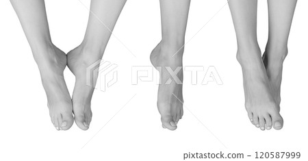 Grayscale view of barefoot female legs in a front position. Slim and smooth legs with neat nails, 120587999