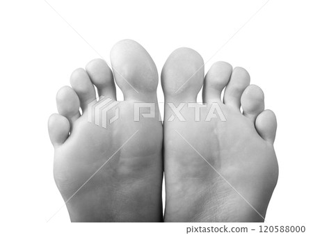 Grayscale barefoot female feet with smooth skin and neat toes, back view showing sole and pad. 120588000