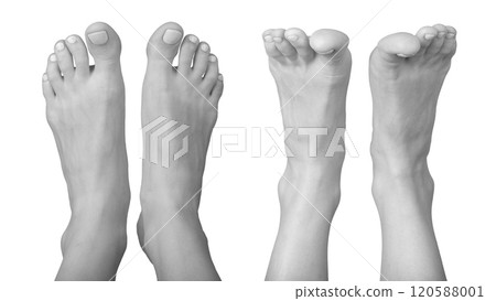 Grayscale bare female feet in a tensed and relaxed front position. Smooth skin, neat nails, and soft 120588001