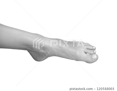Gray scale foot, barefoot leg in soft, healthy pose. Stepping with big toe in neat stance, 120588003