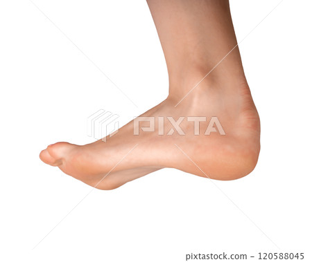 Barefoot foot, tensed sole visible from the side. Smooth, healthy skin in a feminine pose, Barefoot foot, tensed sole visible from the side. Smooth, healthy skin in a feminine pose, 120588045