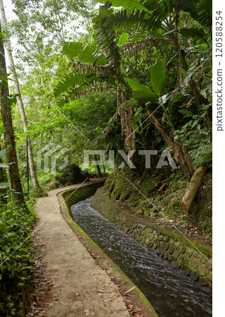 A canal with a river and a path climbing a mountain in the jungle on the popular tourist island of Bali. A canal with a river and a path climbing a mountain in the jungle on the popular tourist island of Bali. 120588254